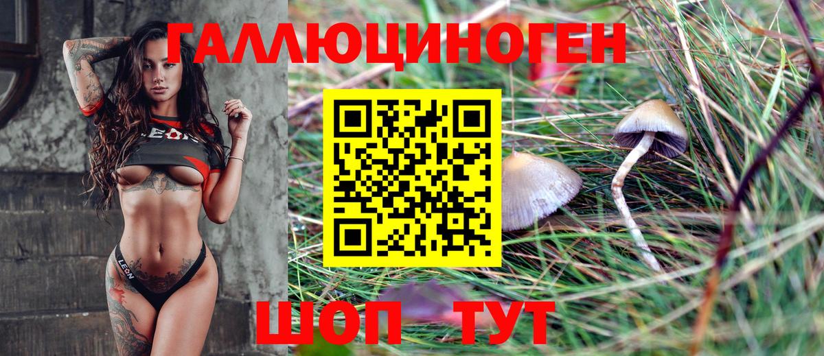 Галлюциногенные грибы мухоморы Спасск-Дальний